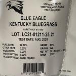 Blue Eagle Elite Kentucky Bluegrass Seed 1