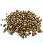 Cilantro Seeds - 6g 0