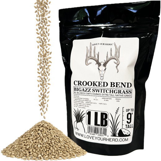 BigAzz Switchgrass one pound pack