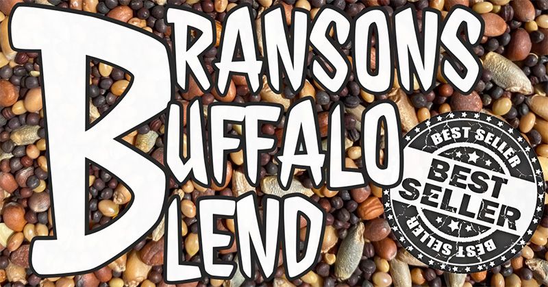 Bransons Buffalo Blend #1 Selling Wildlife Food Plot Seed For Whitetail Deer