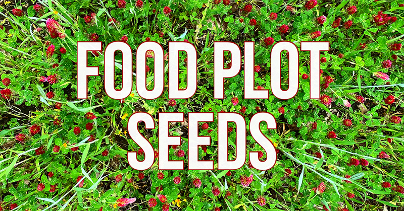 Food Plot Seeds