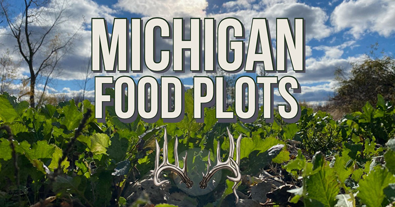 Michigan Food Plots
