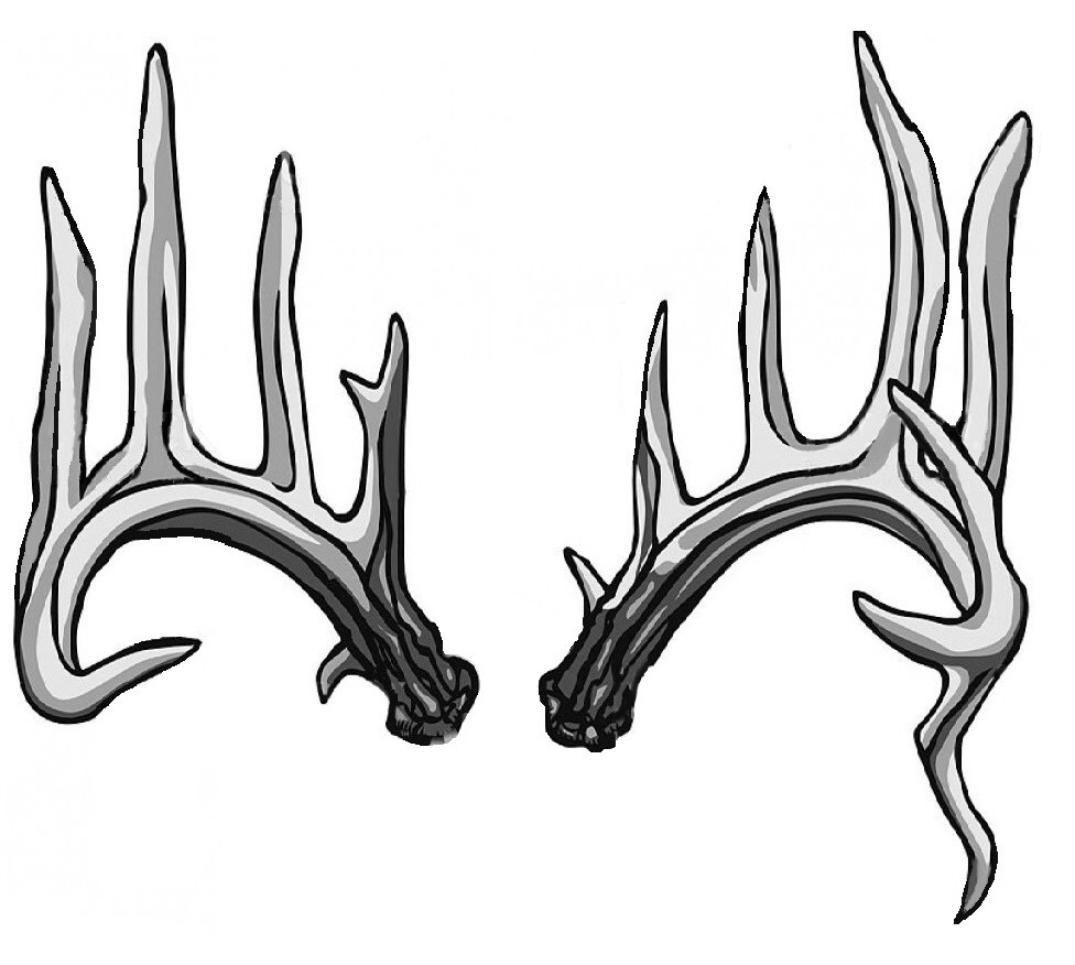 Crooked Bend Antlers