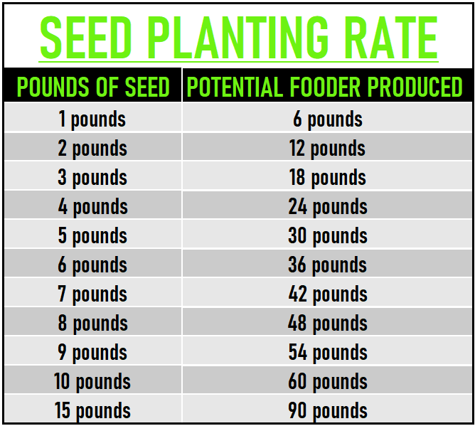 Mother Fodder Seeding Rate Chart
