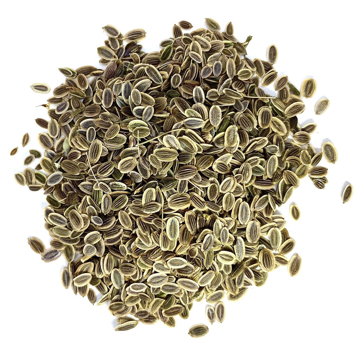 Dill Seeds