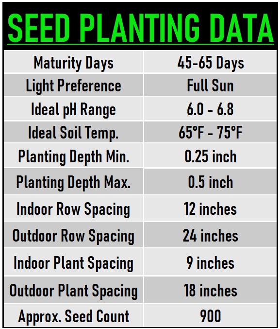 Dill Seeds data chart