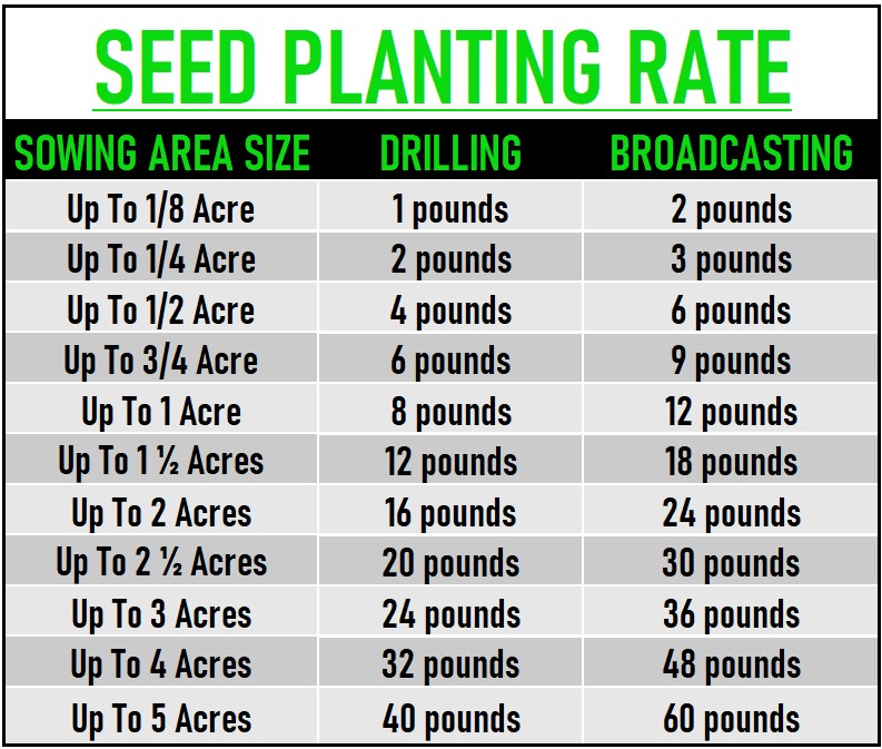 Dwights Beets Seeding Rate Chart