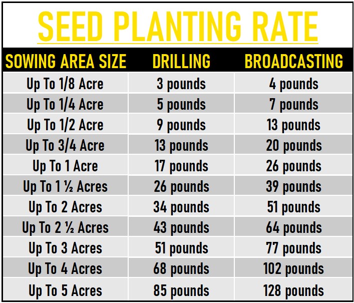 Corn Maize Seed data chart