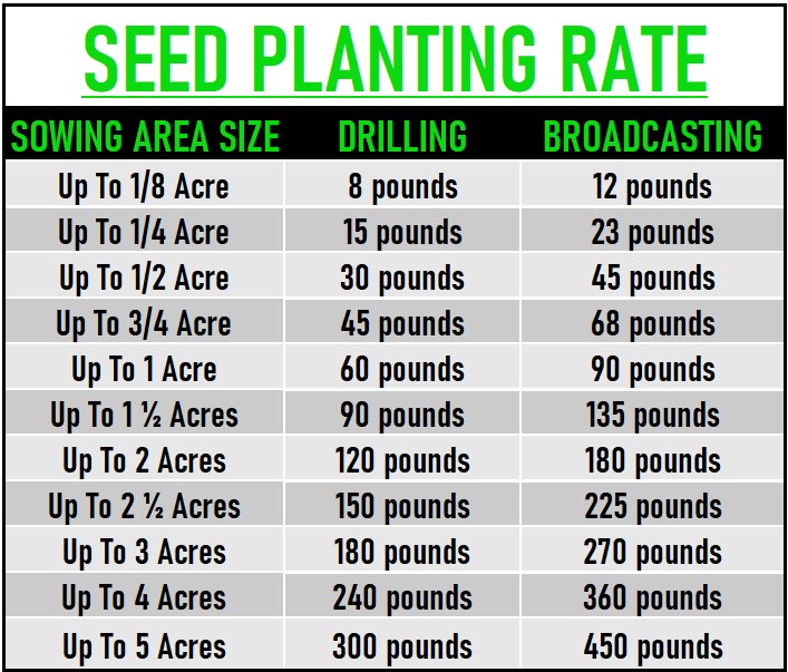 Magic Soy Beans Seed data chart