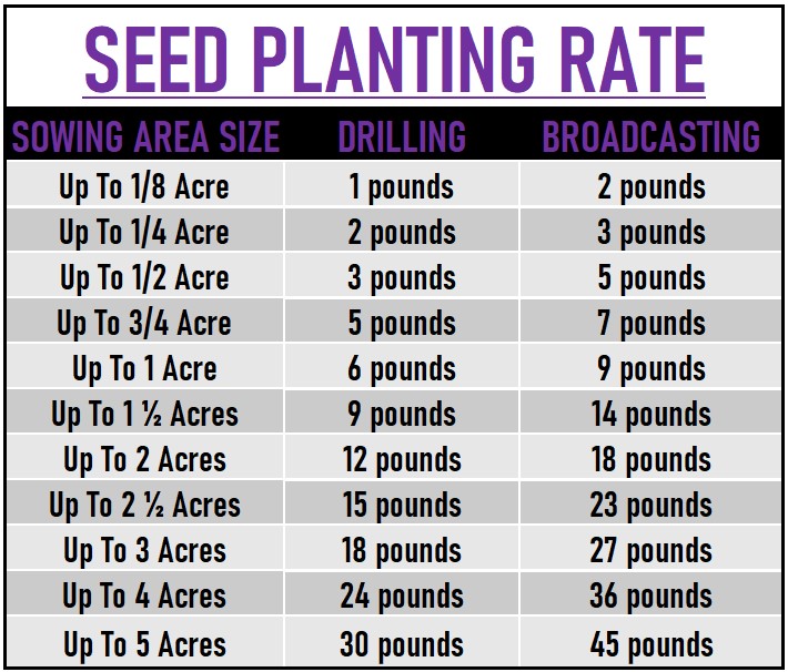 Purple Tops Seed data chart