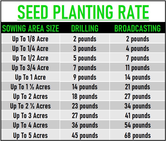 Tillage Radish Seed data chart
