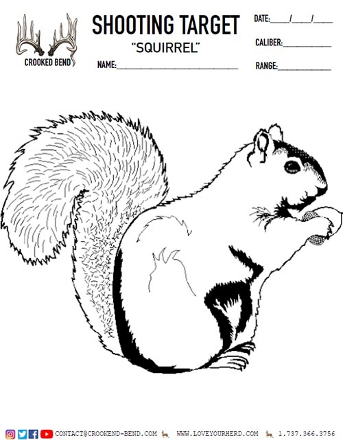 squirrel-free-printable-shooting-targets-crooked-bend