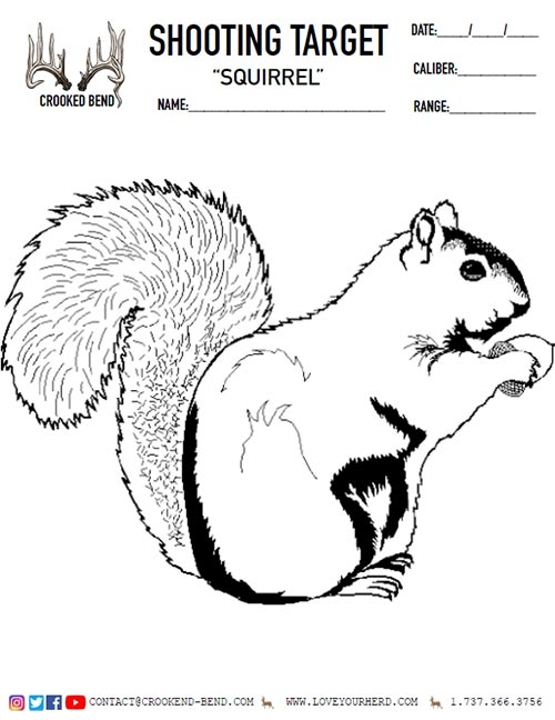 Squirrel Free Printable Shooting Targets Crooked Bend Squirrel Free Printable Shooting Targets Crooked Bend